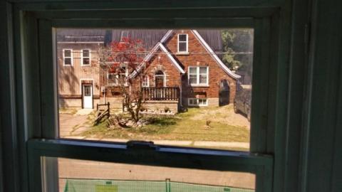 Purple and Teal - IMG_7730.jpg