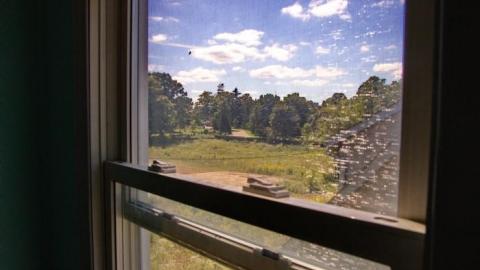 Purple and Teal - IMG_7731.jpg