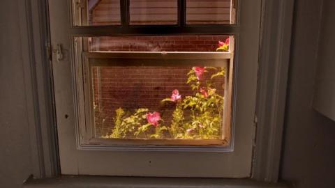 Purple and Teal - IMG_7733.jpg