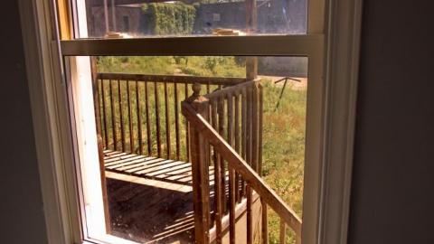 Purple and Teal - IMG_7734.jpg