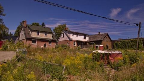 Purple and Teal - IMG_7762.jpg