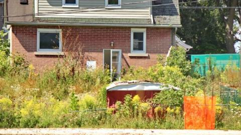 For Your Eyes Only photo 4