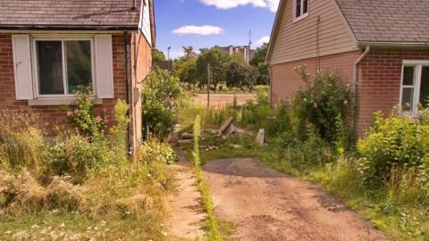 Wooden It Be Nice - IMG_7631.jpg