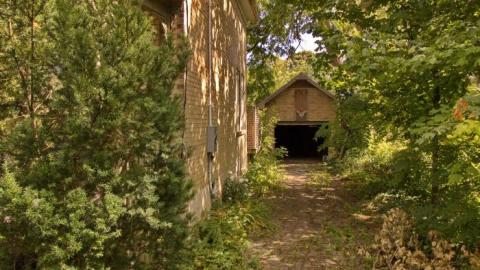 Never Say Never Again photo 4