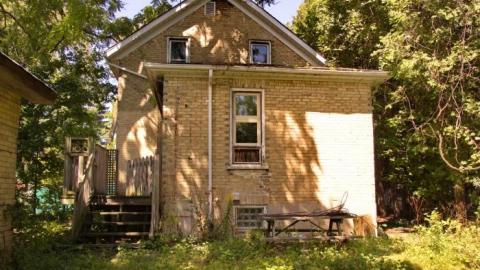 Never Say Never Again photo 3