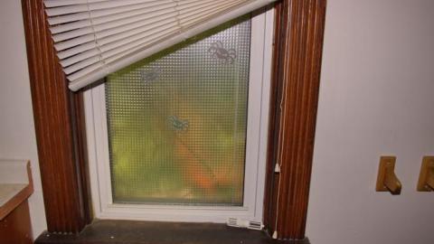 Hardwood Heaven - IMG_7783.jpg