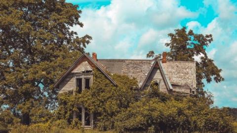 August - IMG_5964.jpg