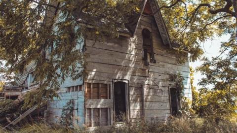 August - IMG_5973.jpg