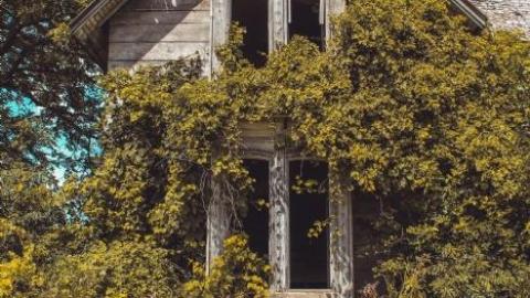 August - IMG_5974.jpg