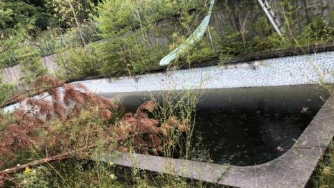 Dream home lost - IMG_1308.JPEG