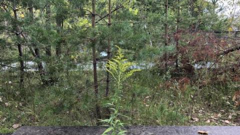 Dream home lost - IMG_1310.JPEG