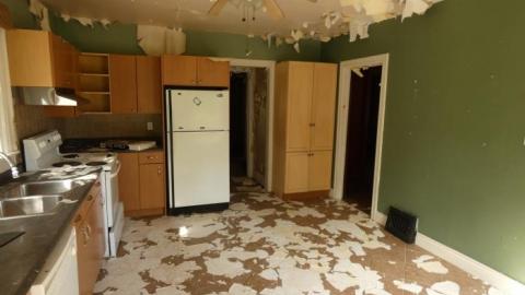 August 2019 - P1010020.jpg