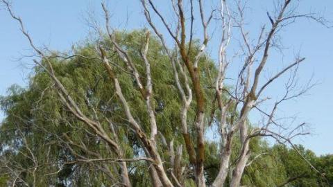 Photo from August 2019