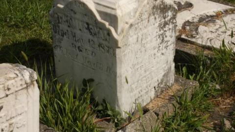 Photo from Grassy Knoll