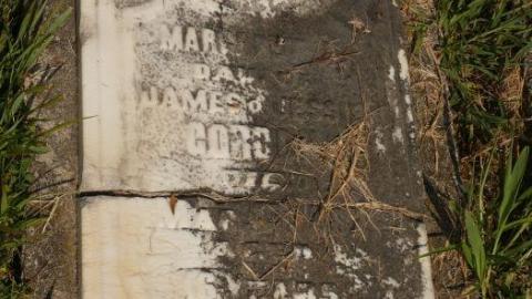 Grassy Knoll - Mt.-Hope-Tyrell-Pioneer-Cemetery27.jpg