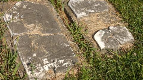 Grassy Knoll - Mt.-Hope-Tyrell-Pioneer-Cemetery28.jpg