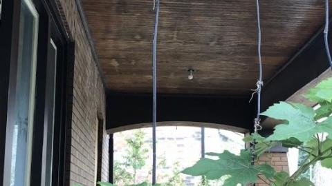 Needs some TLC - IMG_1336.JPEG