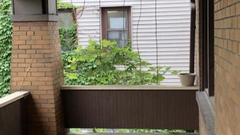 Needs some TLC - IMG_1341.JPEG