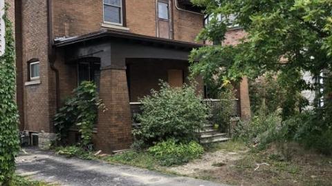 Needs some TLC - IMG_1342.JPEG