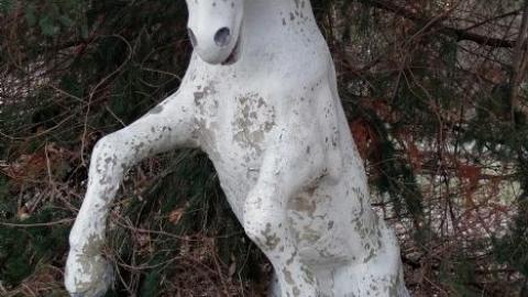 Dec '18 - DSC00309.jpg