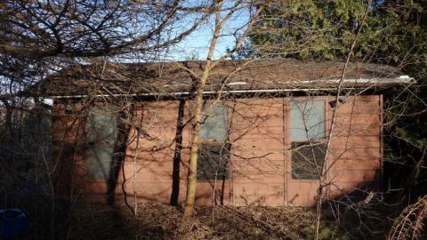 Dec '18 - DSC00326.jpg