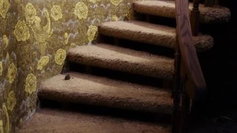 Dec '18 - DSC00352.jpg