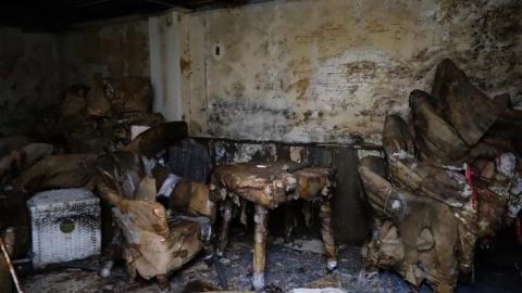 Dec '18 - DSC00374.jpg