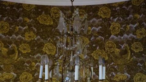 Dec '18 - DSC00384.jpg