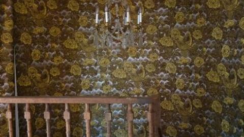 Dec '18 - DSC00389.jpg