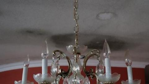 Dec '18 - DSC00413.jpg