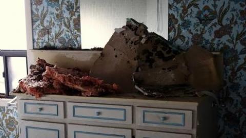 Dec '18 - DSC00447.jpg