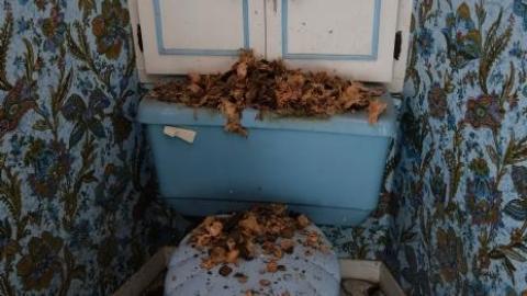 Dec '18 - DSC00451.jpg