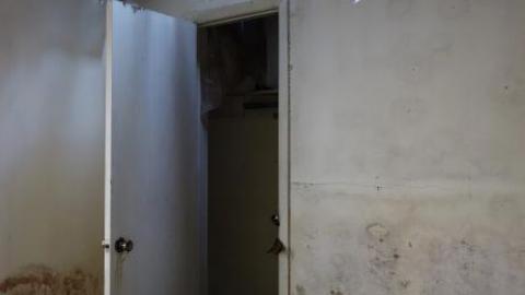 Dec '18 - DSC00461.jpg