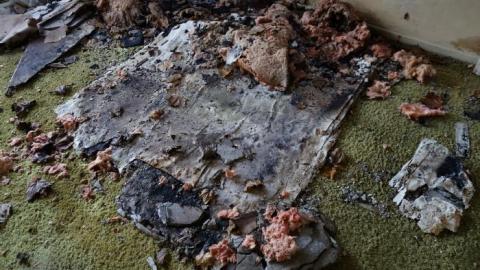 Dec '18 - DSC00462.jpg