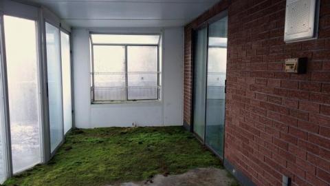 Dec '18 - DSC00470.jpg