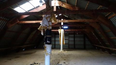 Dec '18 - DSC00544.jpg