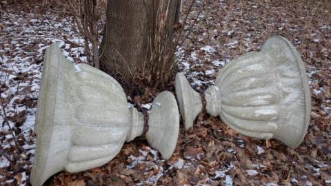 Dec '18 - DSC00572.jpg