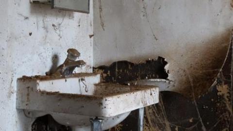 Foiled By Demons '18 - DSC00625.jpg