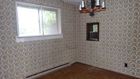 September 2019 - Martin-Weiche-Nazi-House--London-Ontario8.jpg