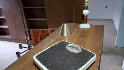 September 2019 - Martin-Weiche-Nazi-House--London-Ontario17.jpg