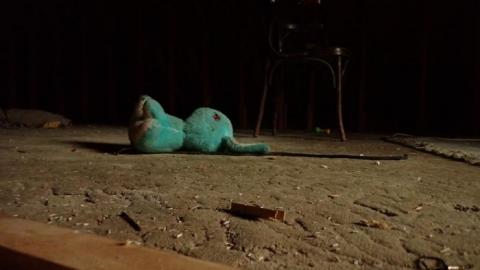 September 2019 - Martin-Weiche-Nazi-House--London-Ontario20.jpg