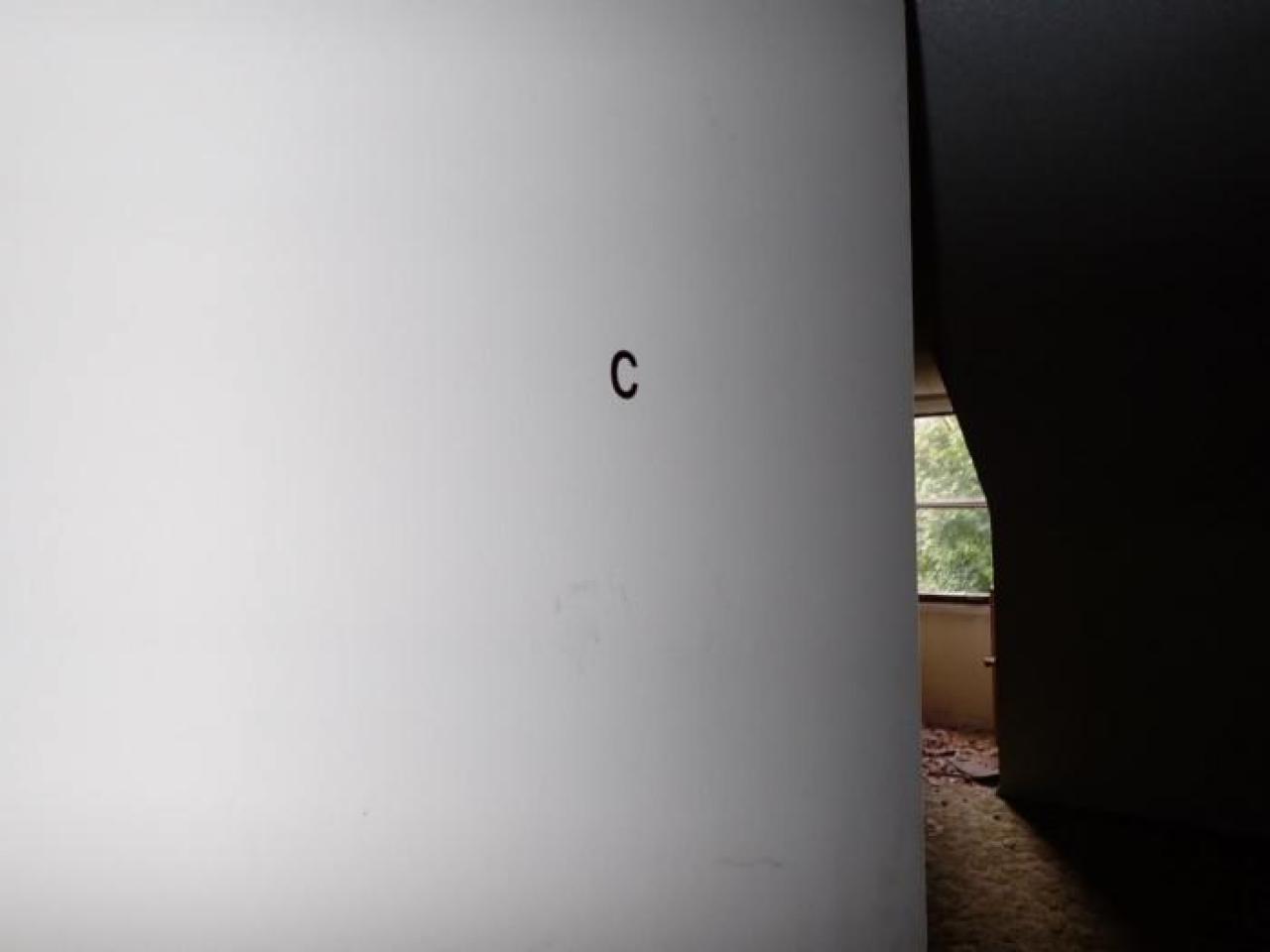 September 2019 - Martin-Weiche-Nazi-House--London-Ontario23.jpg