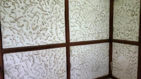 September 2019 - Martin-Weiche-Nazi-House--London-Ontario27.jpg