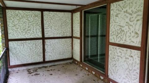 September 2019 - Martin-Weiche-Nazi-House--London-Ontario29.jpg