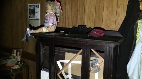 So much to see! - BABB068A-17C4-4FDE-89D9-E8166B6EFD48.jpeg