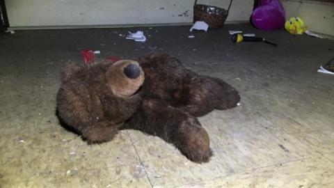 So much to see! - 10CE9037-321F-47B0-9684-392986089D57.jpeg