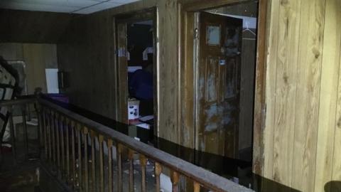 So much to see! - DE33727A-2DC3-417C-A7F1-A32F3B813D4B.jpeg