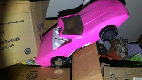 So much to see! - E128634E-F878-46E4-BD52-FF2406A54A96.jpeg