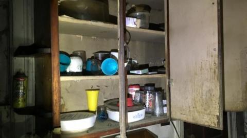 So much to see! - A596305F-C614-489C-B0E5-2867B507A423.jpeg