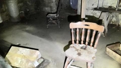 So much to see! - 7A33B6D3-BA34-4E9B-9C3C-4D5C07601B96.jpeg